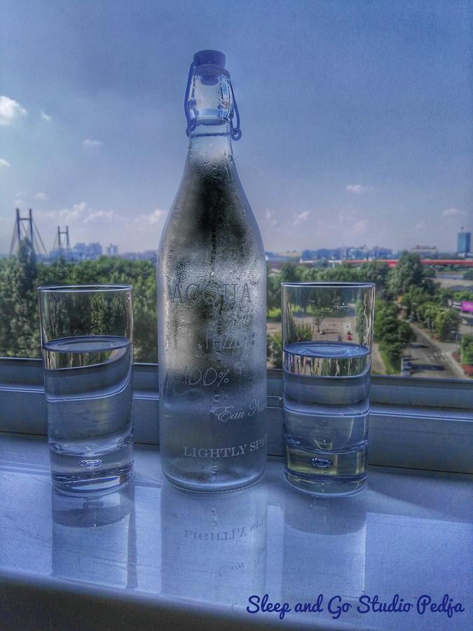 Sleep And Go Pedja Lejlighed Beograd Eksteriør billede